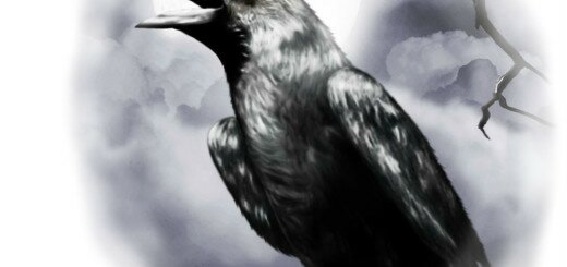 сонник - черная ворона