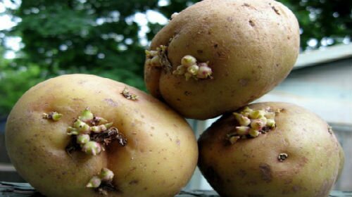 Подготовка картофеля