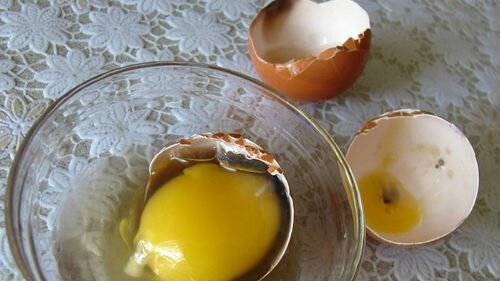 разбитые тухлые яйца